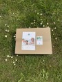 Plastry borowinowe zestaw 20 x 0,5 kg