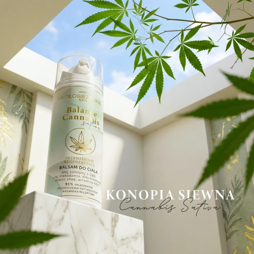 CBD Balsam do ciała z olejem konponym  KołobrzeskieSpa 150 ml (3880)